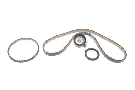 Комплект зубчастих ременів INA 530 0961 10