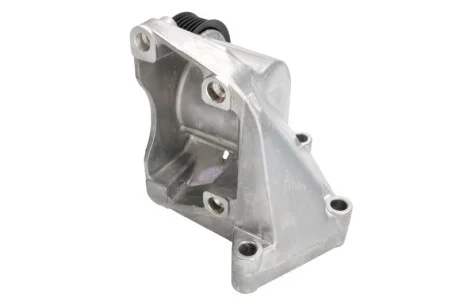 Натяжник ременя генератора Ford Focus 1.4/1.6 98-04 INA 534 0032 10