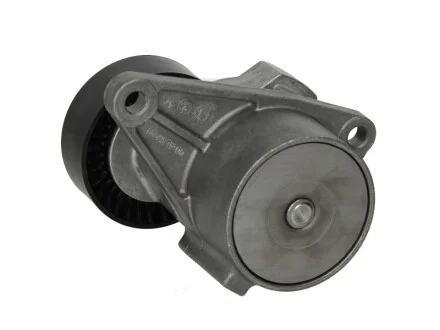 Натяжитель ремня генератора Volvo C70/S40/S60/S70/S80/V40/V70 -07 INA 534 0103 10