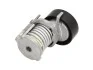 Натяжитель ремня генератора VW Polo/Golf/Skoda Octavia/Fabia 1.0-1.6 97- INA 534 0123 20 (фото 2)