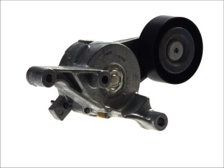 Натяжитель ремня генератора VW 1.9/2.0TDI 04-10, (70x24) INA 534 0151 10