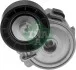 Натяжитель ремня генератора Citroen Berlingo/Peugeot Partner 1.9D 96- INA 534 0255 10 (фото 1)