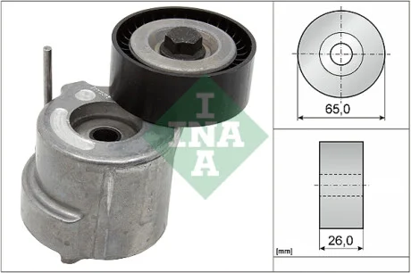 Натяжитель ремня генератора Fiat Bravo 1.6-2.0D/Opel Signum 1.9CDTI 04- INA 534 0404 10