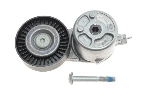 Натяжитель ремня генератора Ford Mondeo IV/Galaxy 1.8TDCi 06-15 INA 534 0412 10
