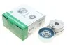 Натяжитель ремня генератора Nissan X-Trail/Qashqai/Renault Clio/Fluence/Laguna III 2.0 16 V 07- INA 534044210 (фото 1)