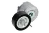Натяжник ременя генератора Citroen Nemo/Fiat Fiorino/Peugeot Bipper/Opel Combo 1.3JTD 10- INA 534045510 (фото 1)