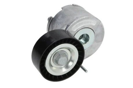 Натяжник ременя генератора Citroen Nemo/Fiat Fiorino/Peugeot Bipper/Opel Combo 1.3JTD 10- INA 534045510