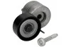 Натяжник ременя генератора Fiat Doblo 1.3JTD Multijet 01- INA 534 0607 10