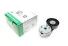 Натяжник ременя генератора Land Rover Discovery/Range Rover 2.7/3.0 04- INA 534 0668 10