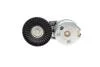 Натяжник ременя генератора Land Rover Discovery/Range Rover 2.7/3.0 04- INA 534 0668 10 (фото 5)