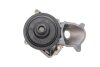 Помпа воды BMW 3 (E46)/7 (E65/E66/E67)/X5 (E53) 3.0d 01-06, M47/M57 INA 538 0174 10 (фото 5)