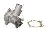 Насос водяний FORD Ruville 65251 (Вир-во) INA 538 0277 10 (фото 1)
