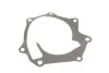 Помпа воды Ford Maverick/Nissan Terrano (WD21/R20)/Pick UP (D21) 2.7TDi 4WD 89-98 (TD27T) INA 538 0515 10 (фото 2)