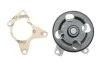 Помпа воды Renault Clio/Laguna III/Megane III/Scenic III 2.0 06-, M4R 711/713/710 INA 538 0524 10 (фото 1)