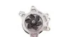 Помпа воды Toyota Avensis 00-08/Corolla 1.4-1.8 VVT-i 99-07(для поликлино-ременного привода) INA 538 0548 10 (фото 2)