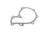 Помпа воды Ford Ranger 2.5 TD 99-06 INA 538 0567 10 (фото 8)