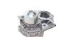 Помпа воды Subaru Impreza/Forester 2.0 Turbo AWD/WRX STi AWD/2.5AWD/XT AWD 97- INA 538 0651 10 (фото 8)