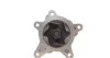 Помпа воды Hyundai Accent/Elantra/i20/i30/i40/ix20/Tucson/Kia Ceed/Sportage 1.4/1.6 10- INA 538 0667 10 (фото 4)