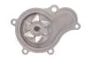 Помпа воды Jeep Cherokee/Wrangler 2.4 01-08 INA 538 0689 10 (фото 4)