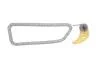 Комплект цепь насоса масляного VW T5 1.9 TDI 03-09, AXC/AXB/BRR/BRS INA 558 0150 10 (фото 2)