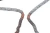 Комплект ланцюга насосу оливного Hyundai H-1/Kia Sorento 2.5 CRDi 01-,(ланцюг) INA 558 0155 20 (фото 9)