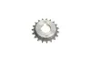 Комплект цепи ГРМ Nissan Pick UP(D22)/Navara(D22)/Terrano 2.4/2.4i 4WD, 97-05, (KA24DE) INA 559 1013 30 (фото 41)