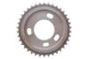 Комплект цепи ГРМ Ford Transit 2.4DI/2.2-2.4TDCI 06- (цепь, натяжитель, шестерня) INA 559 1806 41 (фото 28)