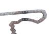 Комплект ланцюга ГРМ Citroen Jumper/Peugeot Boxer 2.2 HDi 06- INA 559 1813 30 (фото 11)