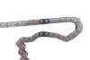 Комплект ланцюга ГРМ Citroen Jumper/Peugeot Boxer 2.2 HDi 06- INA 559 1813 30 (фото 11)