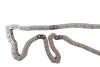 Комплект цепи ГРМ Ford Mondeo 2.0/2.2TDCi 00-07/Transit 2.0DI/TDCi 00-06 75/86/100/125kw INA 559 1815 30 (фото 3)