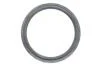 Комплект цепи ГРМ BMW 3 (E93/F30)/X3 (F25)/X5 (F15) 06-18 (z=86/70) (N47/B47), (цепь) INA 559 1818 40 (фото 14)