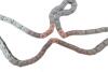 Комплект цепи ГРМ Hyundai H-1 (TQ)/Kia Sorento I (JC) 2.5CRDi 01- INA 559 1862 50 (фото 9)