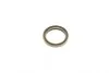 Комплект цепи ГРМ Fiat 500/Doblo/Fiorino/Punto/Citroen Nemo 1.3 03- INA 560 0003 10 (фото 17)