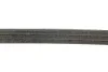 Ремінь генератора Citroen C3/C4/Peugeot 208/308 1.2 THP 13- INA FB 3EPK576 (фото 3)