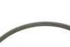 Ремінь генератора Honda Civic VI/Nissan Primera/Citroen Berlingo 1.4-1.6 16V 94-05 (4PK800) INA FB 4PK800 (фото 3)