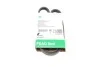 Ремінь генератора Renault Kangoo/Nissan Kubistar 1.2 16V 97- (4PK928) INA FB 4PK928