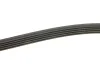 Ремень генератора Mazda 323/626/ Opel Astra G/Vectra B/C 2.0/2.2 00-08 INA FB 5PK1030 (фото 3)