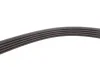 Ремень генератора VW Passat B5/Audi A4/A6 1.6/1.8 95- INA FB 5PK1300 (фото 3)