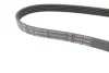 Ремінь генератора Kia Cerato/Rio 1.5-1.6 CRDI 05-/MB A-class (W169/W176) 1.8-2.2CDI 04-18 INA FB 5PK1745 (фото 2)