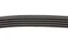 Ремень генератора Land Rover Freelander 1.8 16V 00-06 INA FB 5PK736 (фото 2)