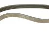 Ремень генератора Opel Omega B 2.5DTI 01-03 INA FB 5PK830 (фото 4)