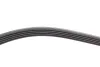 Ремень генератора BMW 3 (E46)/5 (E39)/7 (E38) 95-05 (5PK865) (M52/M54) INA FB 5PK865 (фото 3)