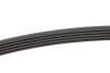 Ремень генератора BMW 5 (E39) 520i/523i/528i 90-/Hyundai XG 3.0-3.5 98-05/Mitsubishi Colt 1.5 05-12 INA FB 5PK906 (фото 2)