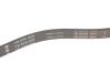 Ремень генератора BMW 5 (E39) 520i/523i/528i 90-/Hyundai XG 3.0-3.5 98-05/Mitsubishi Colt 1.5 05-12 INA FB 5PK906 (фото 3)