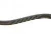Ремень генератора Fiat Scudo 2.0 JTD 99-06 (5PK970) INA FB 5PK970 (фото 3)