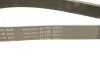 Ремень генератора Audi A5/A6/Q5 17- (6PK1138) INA FB 6APK1138 (фото 5)