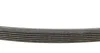 Ремень генератора BMW 3(E92)/5(E60)/X3(E83) 07-, N47/N57 INA FB 6DPK1817 (фото 2)