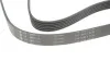 Ремень генератора Citroen Jumper/Fiat Ducato 2.0/2.2HDi/JTD 02- INA FB 6PK1173 (фото 2)