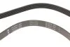 Ремень генератора Toyota Hilux 2.5D 01-05 INA FB 6PK1285 (фото 3)