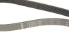 Ремень генератора Peugeot 206/Partner/Citroen Berlingo 1.1-1.6 02-/VW Fox/Polo 1.2 02-14 (6PK1453) INA FB 6PK1453 (фото 5)